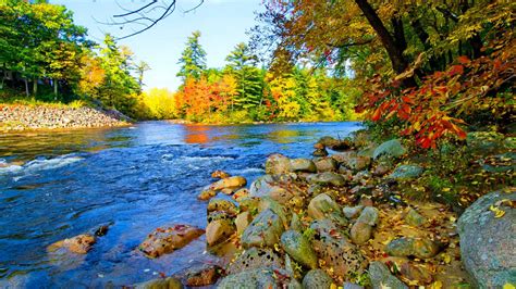 Beautiful Colorful Autumn River Foliage HD Nature Wallpapers | HD ...