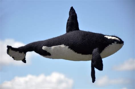 Then She Knit An Orca And Youll Agree Its Monumental Knithacker