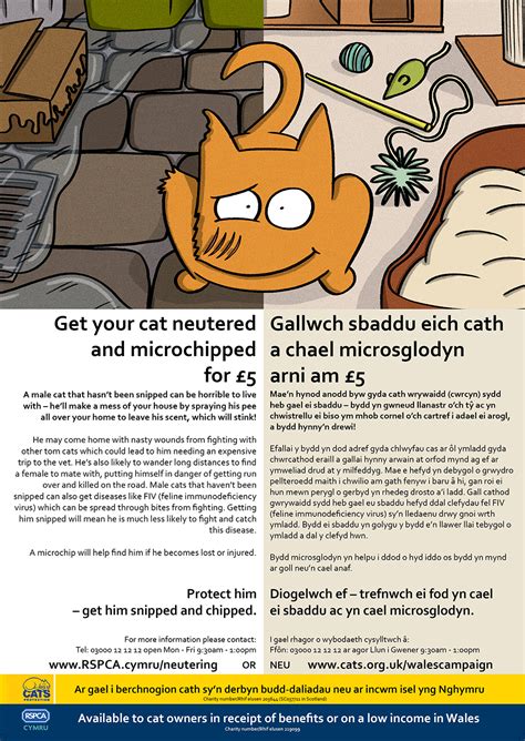 See more of free neutering for london's cats on facebook. Cat Neutering and Cat Spaying Scheme | RSPCA