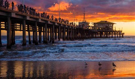 Must See Piers And Boardwalks In La 2023 Visit Best Piers In Los
