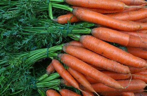 Bunches Of Fresh Carrots Stock Photos Motion Array