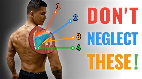 The Best Rotator Cuff Strengthening Routine BULLETPROOF YOUR SHOULDERS