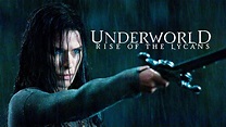 Underworld: Rise of the Lycans (2009) - Backdrops — The Movie Database ...