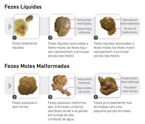 Exames de Laboratório HVS Hospital Veterinário Saúde