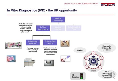 Ppt In Vitro Diagnostics Ivd The Uk Opportunity Powerpoint