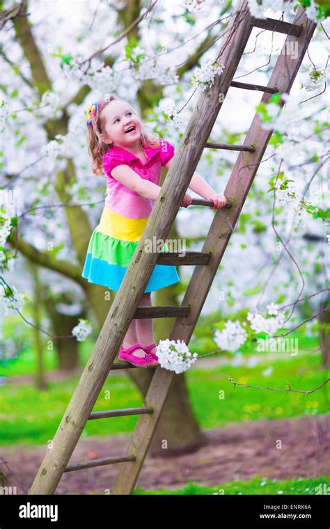 Little Girl Climbing A Ladder In A Fruit Garden Child Playing In