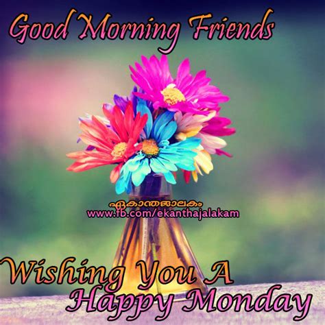 Good Morning Friends Happy Monday Pictures Photos And Images For