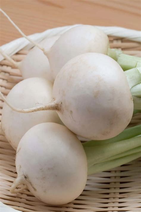 What Do Turnips Taste Like Learn Everything You Need To Know About