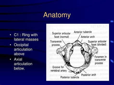 Cervical Spine Assessment Ppt Download