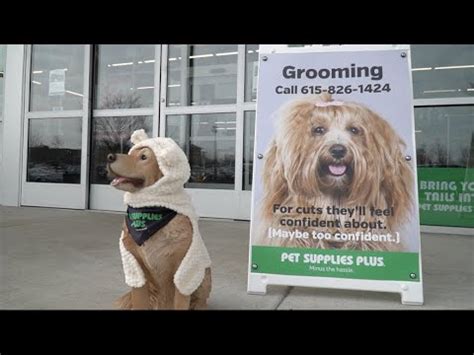 About 0% of these are pet beds & accessories, 0% are pet collars & leashes, and 5% are a wide variety of pet grooming supplies wholesale options are available to you, such as charging time, material, and feature. PET SUPPLIES PLUS GROOMING, Hendersonville, TN - YouTube