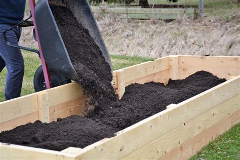 10 Best Ways To Fill A Raised Bed For Cheap Diy And Crafts