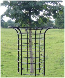 Paddock fencing supplied 60 of its metal tree guards for the protection of a new avenue of lime trees on the estate. Ardagh Estate Fencing Tree Guards