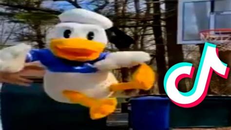 Donald Ducc Tiktok Compilation Best Donald Ducc Tiktok Donald Duck