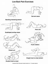 Low Back Pain Exercises Images