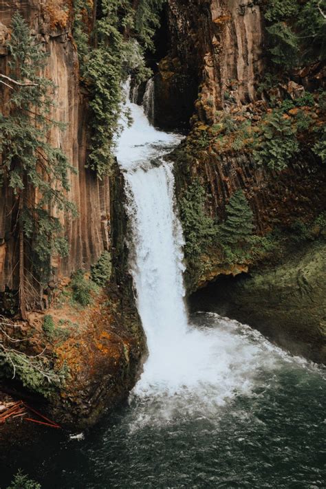 Things To Do In The Umpqua National Forest In 2020 National Forest
