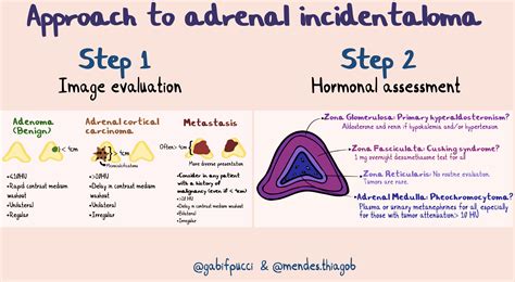 Approach To Adrenal Incidentaloma Workup Step 1 Grepmed