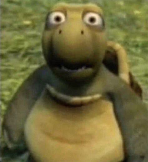 Verne From “over The Hedge” Memes Turtles Funny Goofy Face