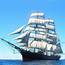 Tall Ships Race 2019  Sydney Harbour