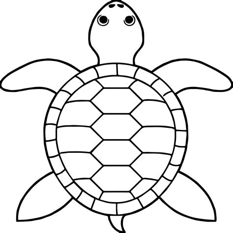 Tortoise Turtle Top View Coloring Pages