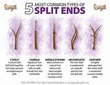 But what about split ends? Types of Split Ends and What They Mean About Your Hair ...
