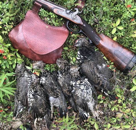 Favorite Game/Gun Picture - 2019 Hunting Season - The DoubleGun BBS