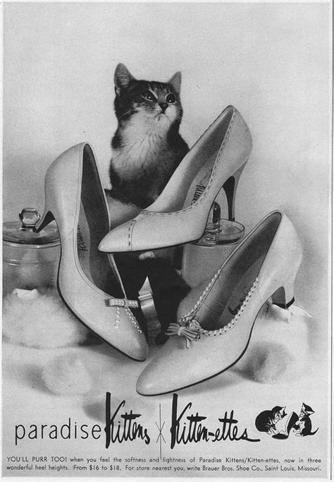 paradise kittens shoes 1960 cat shoes shoes ads fashion 1960
