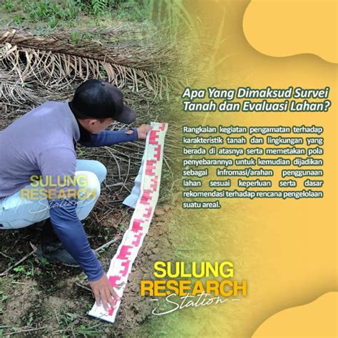 Survei Tanah Dan Evaluasi Lahan Bagian Sulung Research Station