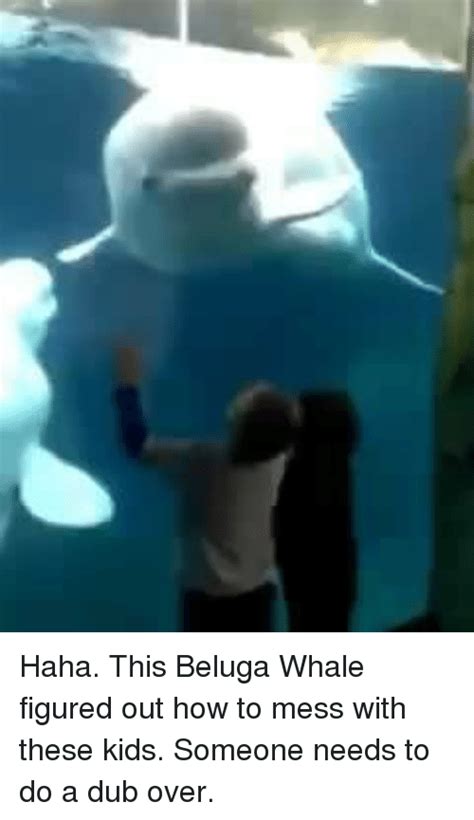 Haha This Beluga Whale Figured Out How To Mess With These Kids Someone