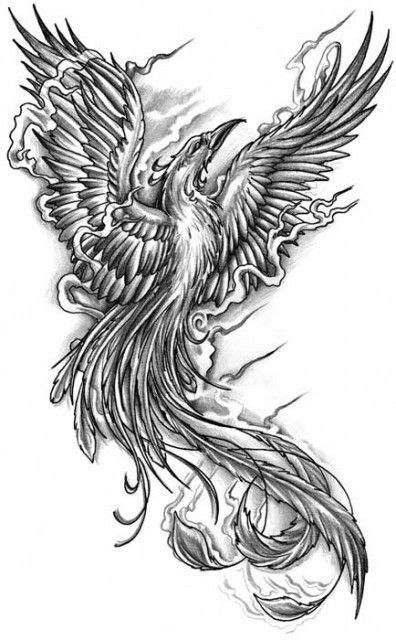 Phoenix Tattoo Stencils Phoenix Phoenix Bird Tattoos Phoenix