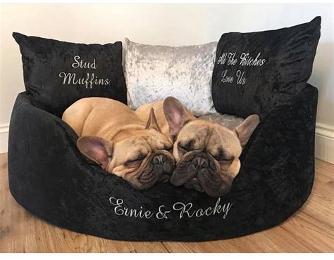 Luxury Extra Large Personalised Dog Bed Set Unique Dog Beds