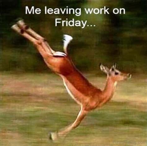 20 Leaving Work On Friday Memes That Are Totally True SayingImages Com