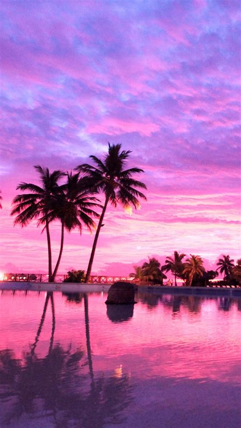 Pink Sunset Beach Wallpaper Hd Pink Sunset Beach Photos And Premium