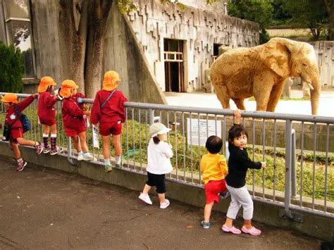 10 Simple Rules To Children In Zoos Animals Time