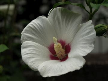 Tiktokについて ニュースルーム 連絡先 採用 bytedance. 2007 Archives - Living on the Edge