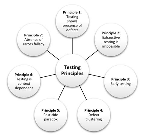 The Seven Principles Of Software Testing Magnetism Solutions Nz
