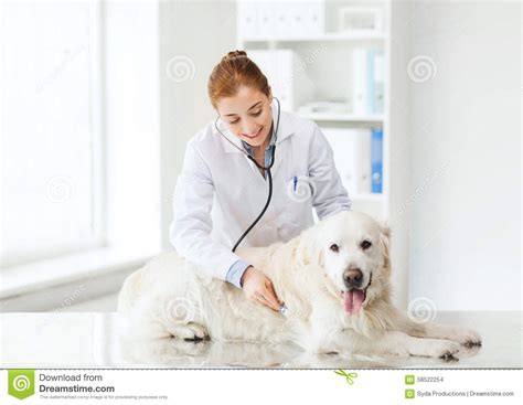 Veterinarian in south bound brook, new jersey. Happy Woman With Dog And Doctor At Vet Clinic Stock Photo ...