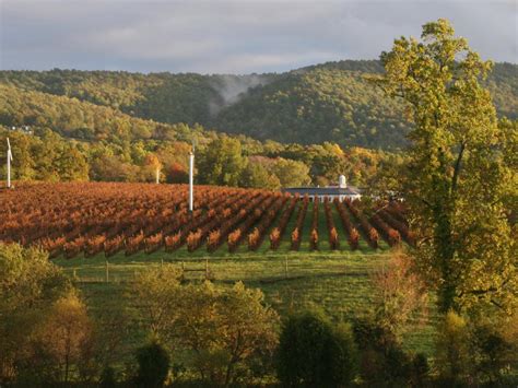 Where To Eat And Drink In Virginia Wine Country Restaurants Food