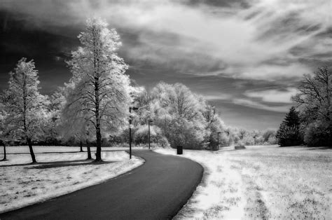 How To Shoot Infrared Photos With A Filter Chris Mcphee Photographer