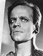 Picture of Klaus Kinski