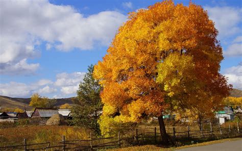 Roads Trees Autumn Fall Rustic Houses Architecture Sky Clouds