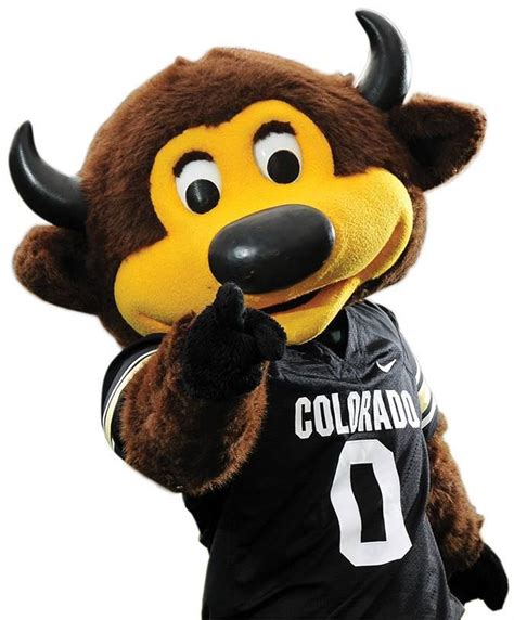 Whos Your Favorite Mascot Colorado Buffaloes Football Colorado