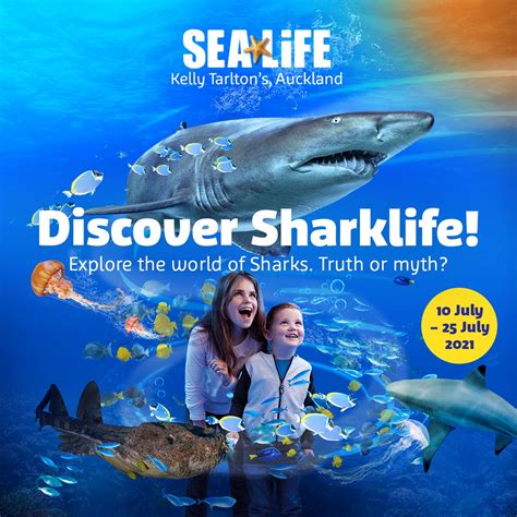 Sea Life Kelly Tarltons Aquarium Auckland Official Site