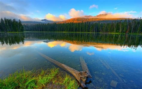 1060590 Landscape Forest Lake Water Nature Reflection Park