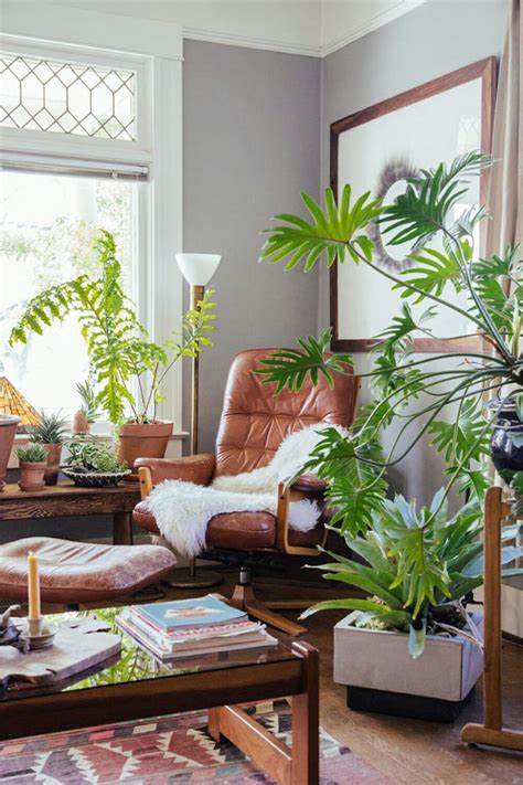 How To Make Your Living Room More Livable Plants Living Room Plants