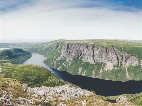 Newfoundland 4k Wallpapers For Your Desktop Or Mobile Screen Free And