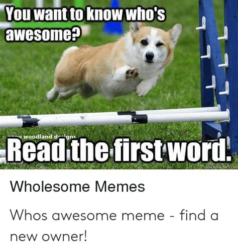 🅱️ 25 Best Memes About Whos Awesome Meme Whos Awesome Memes