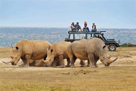 African Safari Tour Companies Worlds Best 2021