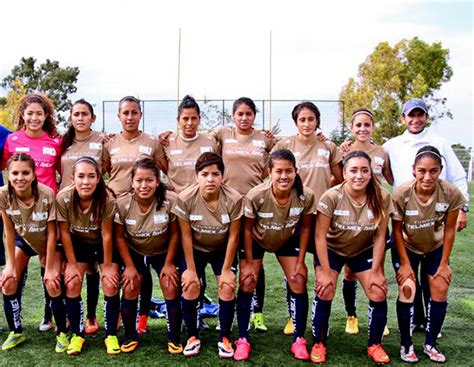 Noticias de la liga de fútbol femenino en méxico. Liga MX Femenil de Fútbol: requisitos iguales, sueldos ...