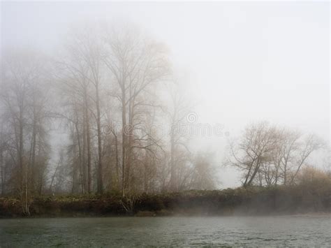 Fog On The Banks Of Snoqualmie River Stock Image Image Of Running
