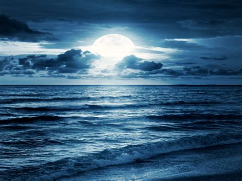 41 Beach Moon Wallpapers Wallpapersafari